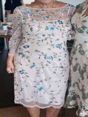 Adrianna Papell Floral Embroided Dress